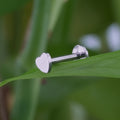 Herz-Helix-Piercing, minimalistisches Ohrstecker-Titan in Implantatqualität