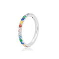 Gold Rook Piercing, süßes Rook Piercing 16G mit bunten CZ-Titan-Scharniersegment-Clicker