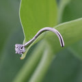 Corkscrew nose ring with round CZ titanium 20G Rosery Poetry