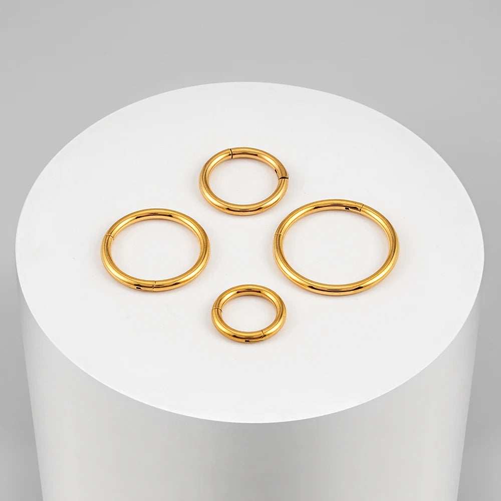 Aro de anillo de nariz 6mm 8mm 10 mm clicker de segmento con bisagras simple y minimalista