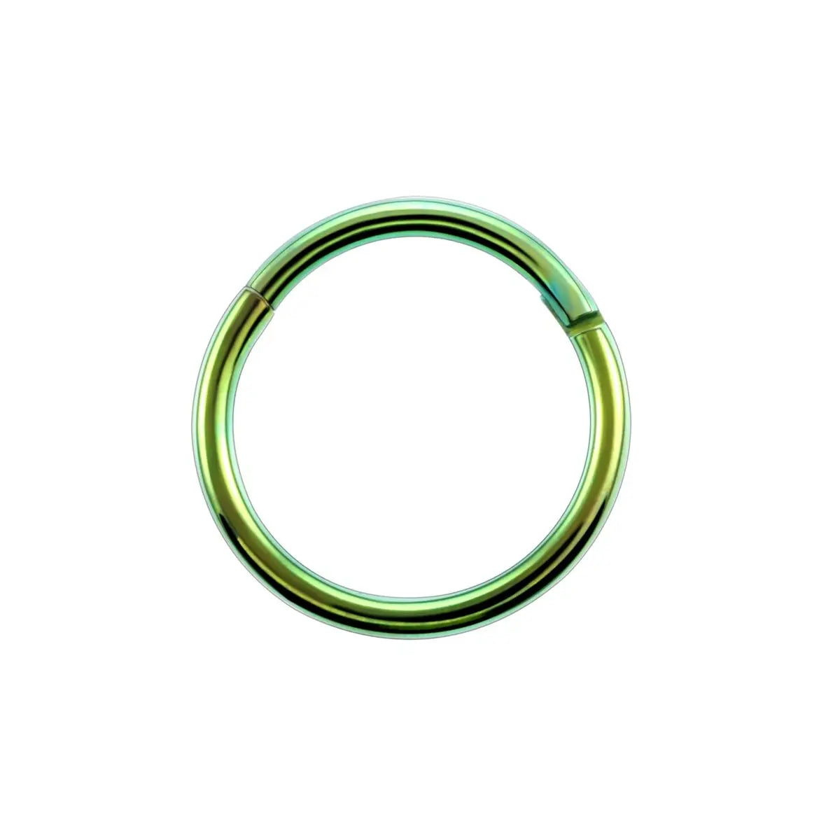 Nose ring hoop 6mm 8mm 10 mm simple and minimalist hinged segment clicker